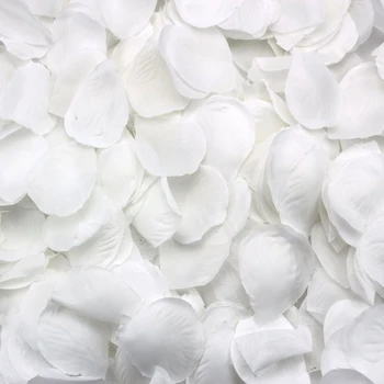 500 pétalas de Rosa espalhadas branco decoração de Festa de Casamento